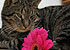 Beauty Behandlung