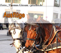 by Thomas Giesau / pixelio.de